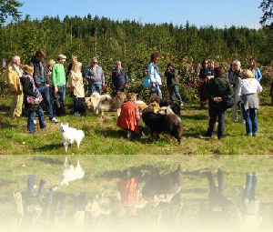 bei Germering 19.09.2010